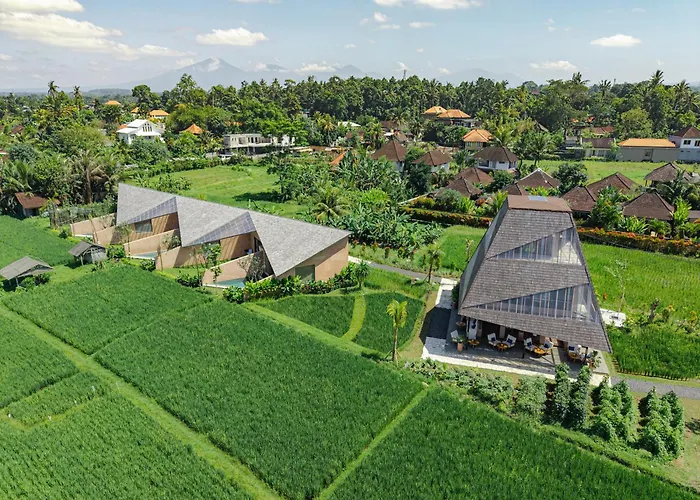 Terra Sayan * Ubud